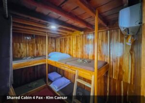 Shared Cabin (4 Guests)