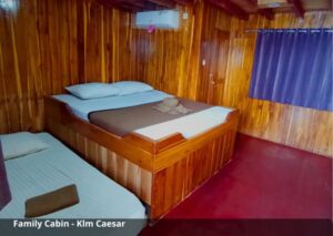 Family Cabin